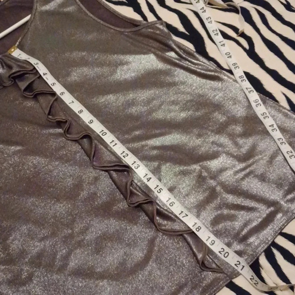 💙🌹ann Taylor Silver top - Picture 9 of 12